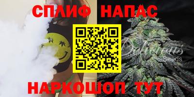 тгк Будённовск
